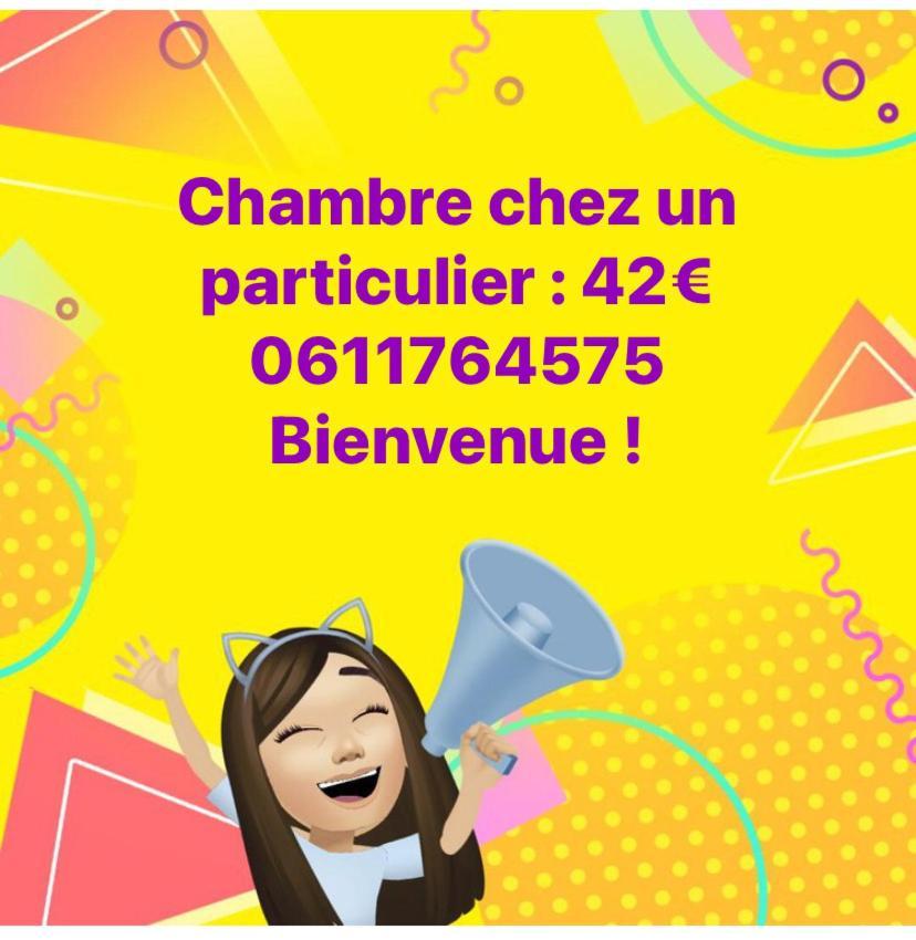 Nancy Hyper Centre, Chambre Prive Chez L'Habitant En Colocation 외부 사진